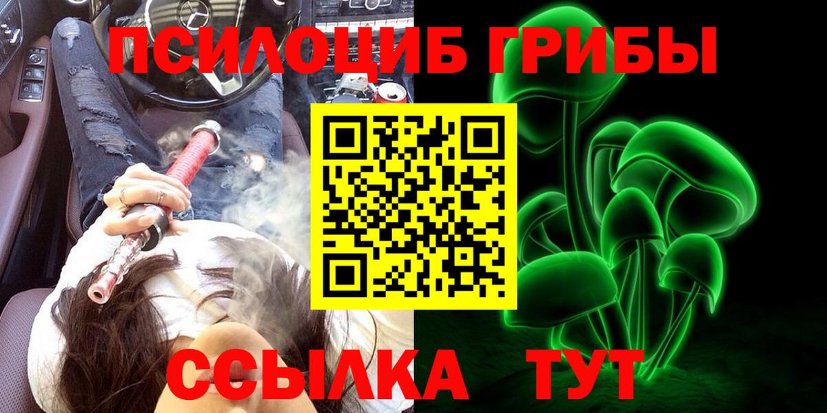 Псилоцибиновые грибы GOLDEN TEACHER  Вход с VPN  Черкесск 